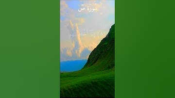 آيات من سورة ص #تلاوة_خاشعة #ياسر_الدوسري #قرآن #قران #قران_كريم