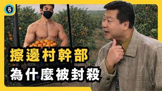 Download Lagu 辛辛苦苦考上編，助農卻要靠擦邊？90後村幹部被舉報背後的制度真相！｜考編｜擦邊助農｜流量密碼｜自由裁量｜風險外包｜世界冠軍｜退役運動員｜吳柳芳｜林小白｜賀嬌龍｜楊小果｜宇文老師 MP3