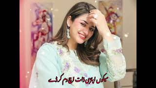 Mekon Apni Zat Ich Dam Kar De New Sraiki Song Slowed Reverb Sraiki Song