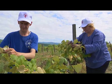 Сельхозугодья Кубани