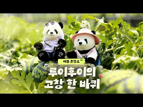 고창가서 먹고 놀고 <strong>루이</strong>&amp;후이의 브이로그😆｜#vlog #루이후이의대한민국구석구석