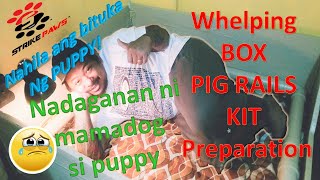 Tips at mga paghahanda sa nalalapit na panganganak ng iyong bitch o babaeng aso #StrikePAWSkennel