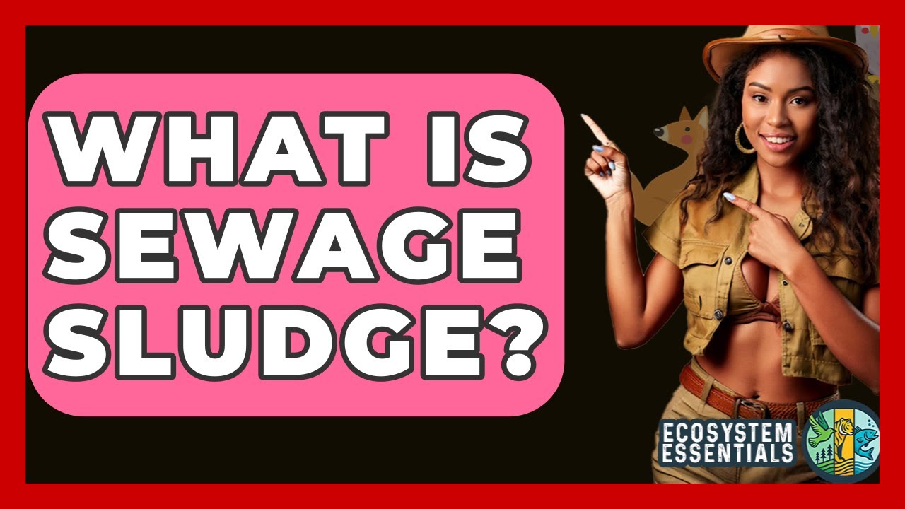 What Is Sewage Sludge? - Ecosystem Essentials