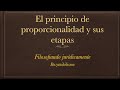 EL PRINCIPIO DE PROPORCIONALIDAD Y SUS ETAPAS
