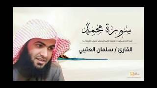 Salman Al Utaybi Surah Muhammad سلمان العتيبي سورة محمد كاملة
