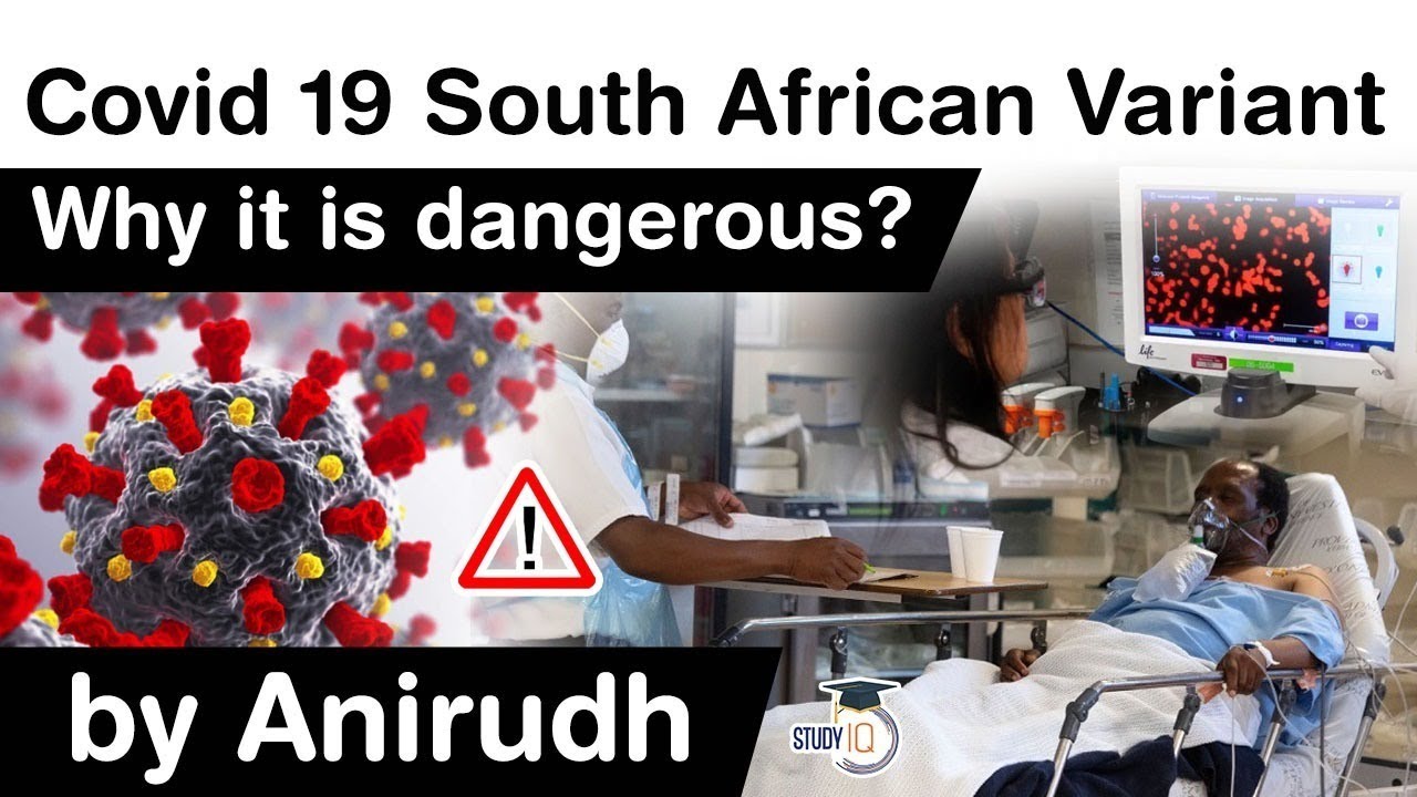 Covid 19 South African Variant What makes this new coronavirus strain