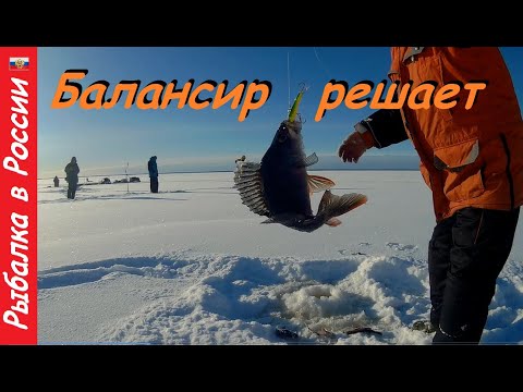 Video: Walleye Püüdmine Talvel