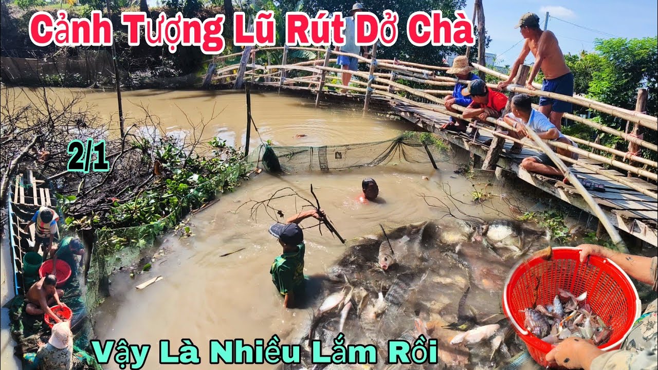 Cảnh Tượng Người Dân Miền Tây Dở Chà Lạnh Rung Luôn Kìa Cá Gì Bự Lắm 2/1/2026