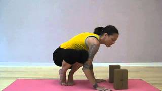 Famous Teachasana.com | Teaching Side Crow Wealth