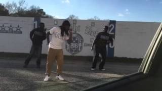 Tribute to the Pi Theta Chapter of Zeta Phi Beta Sorority Inc.