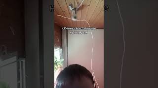 #начертание