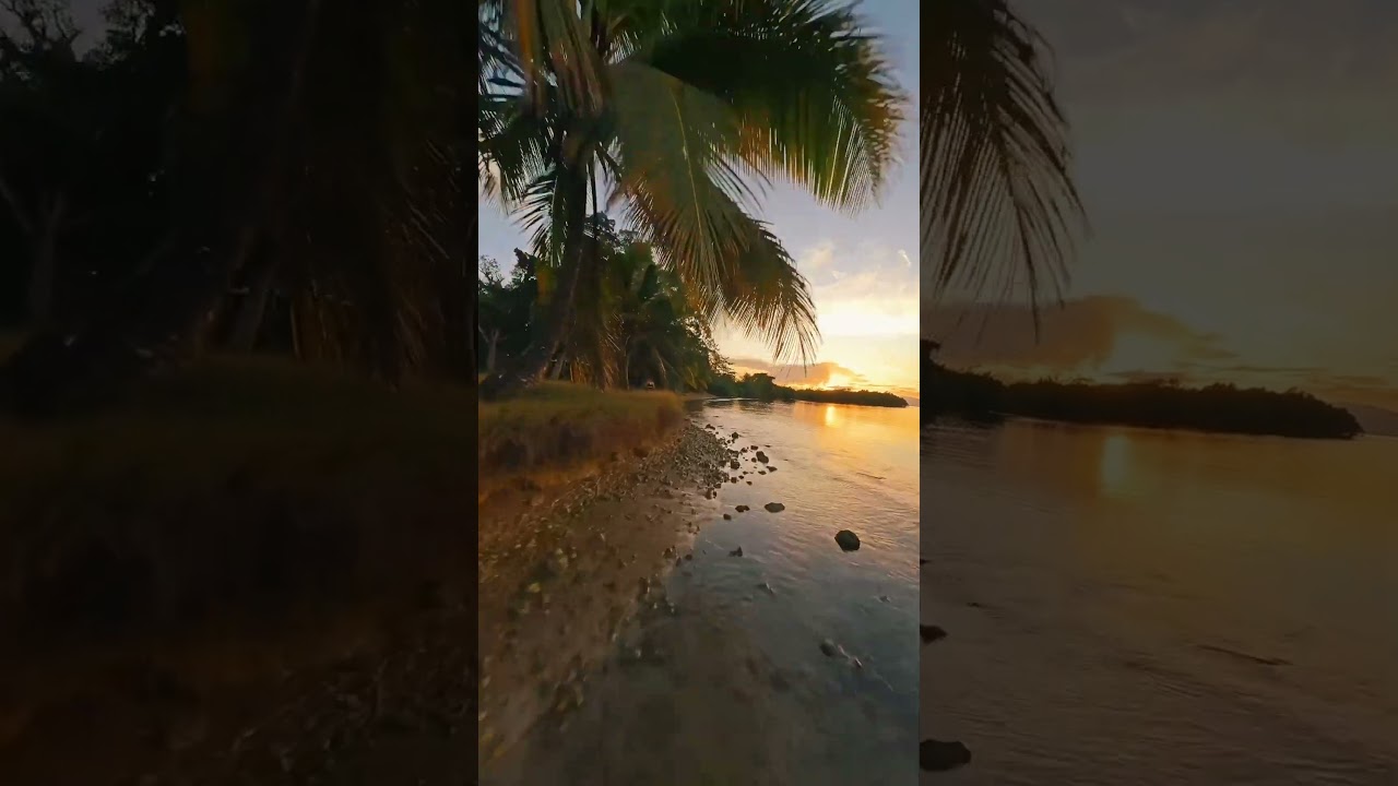 Paradise! (via: ammo_visuals) 🚀 