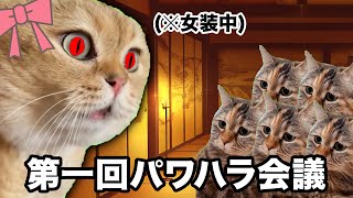 【鬼滅の刃】猫ミームで雑に振り返る無惨様の人生【猫ミーム】【猫マニ】