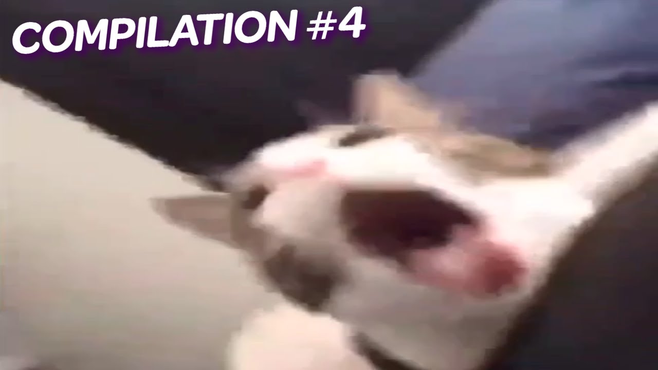 MEME COMPILATION #4 | FUNNY RANDOM MEME COLLECTION - YouTube