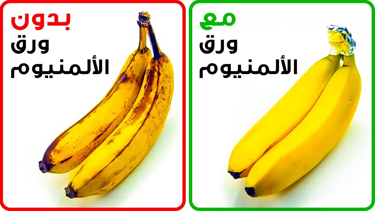 كيف تحفظ الفواكه والخضار لتكون طازجة لمدة أطول