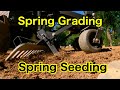 ABI FORCE - LATE SPRING GRADING and SEEDING WILL IT WORK?