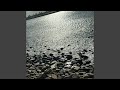 SHIMMER