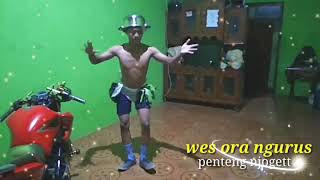 story wa terbaru goyang goyang asik