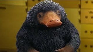 The Niffler Scene - Bank Robbery - Fantastic Beasts and Where to Find Them (2016)|Cinimatic Clicks