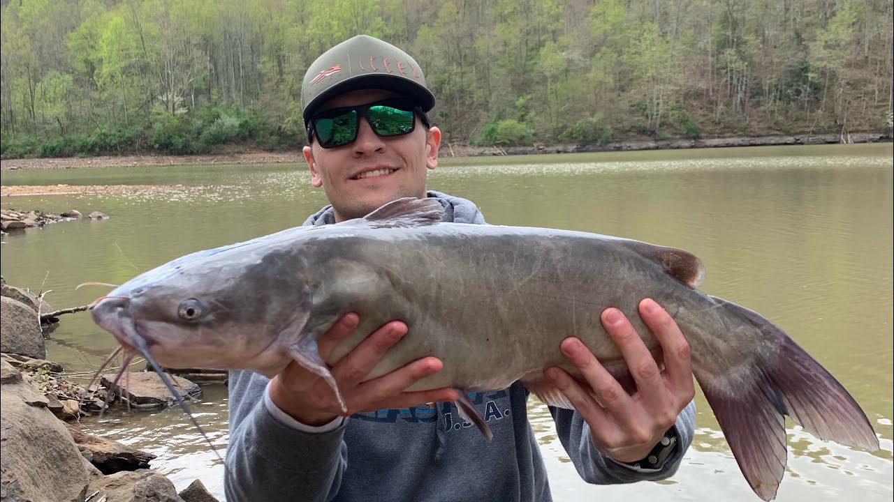 BIG CHANNEL CATFISH in West Virginia