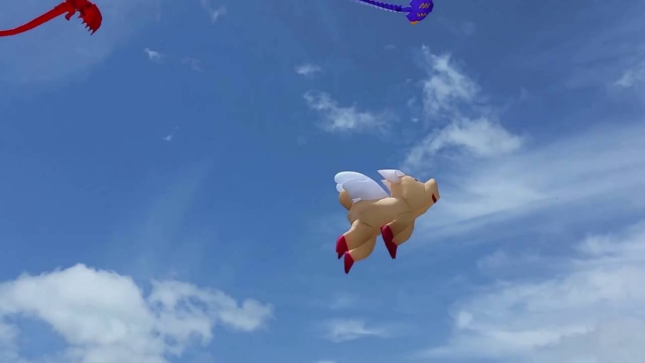 Pigs in Flight YouTube