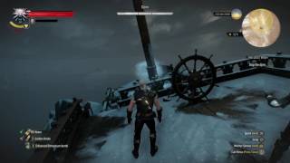 The Witcher 3  Wild Hunt - Djinn Bug