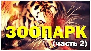 Галилео. Зоопарк (часть 2)