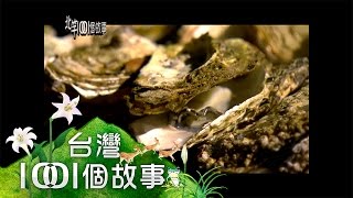 漁港碳烤生蠔海鮮橋仔村獨家BBQ part3【北竿1001個故事】