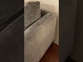 Sofa Squeaks 