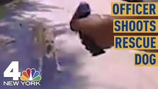 Outrage Grows after Bodycam Shows NJ Officer Shoot, Kill Dog That Charged at Him | NBC New York