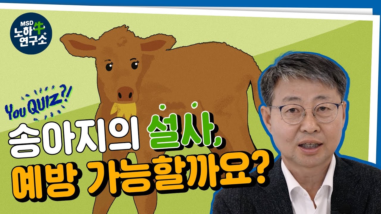 [송아지관리] 우리 송아지! 설사로부터 절대 지키기! 송아지 설사의 치료와 예방에 대해 大동물의 아버지 이한경 원장님과 함께 알아보세요!