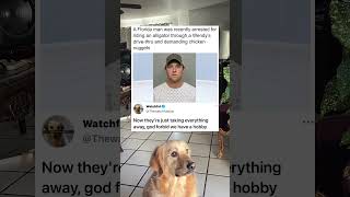 I See No Harm In This