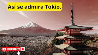 LUGARES TURISTICOS EN TOKIO JAPON