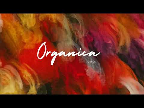 Organica - Joecalih (Official Audio)