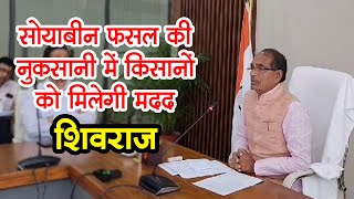 MP में Shivraj Singh ने कहा सोयाबीन फसल की नुकसानी में किसानों को मिलेगी मदद