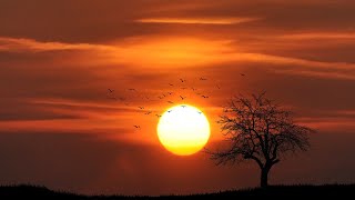 Sunset Stock Footage - Sunset Free Stock Videos - Sunset No Copyright Videos