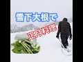 雪下大根と庄内柿で柿なます