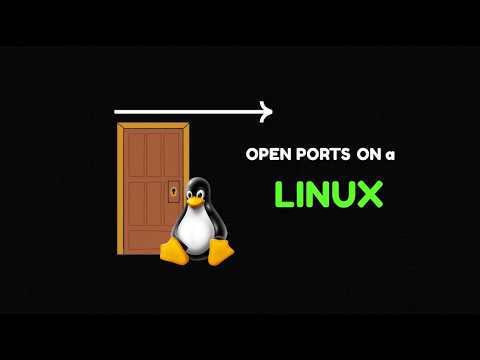 Find Open Ports on a Linux Server (ip, ping, ss Explained)