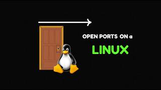 Find Open Ports on a Linux Server (ip, ping, ss Explained)
