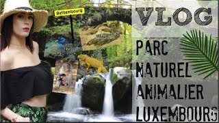 VLOG : IGUANE EN LIBERTÉ ? MON DIMANCHE AU PARC MERVEILLEUX