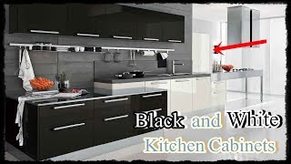 Your Totally Modern Black and White Kitchen Cabinet screenshot 1