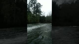 O CROCODILO 🐊 NA FOZ DO SOUSA GONDOMAR PORTO PORTUGAL
