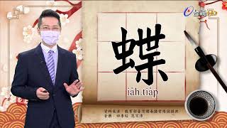 2021.8.20.台視台語新聞逐工一字「蝶」（ia̍h.tia̍p） 