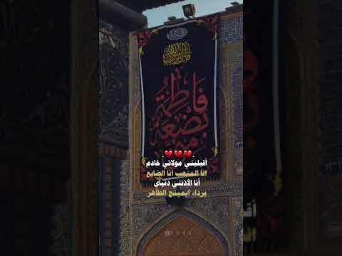 أنا المتعب أنا الضايع أنا أذتني دنياي يازهراء اشتراك لايك اكسبلور Shortscraft