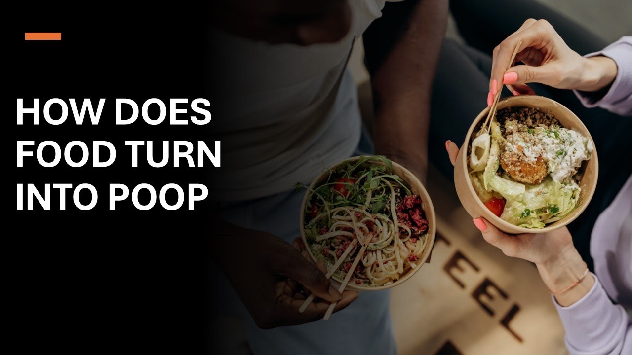 How Your Body Turns Food Into Poop: The Fascinating Journey Explained ...