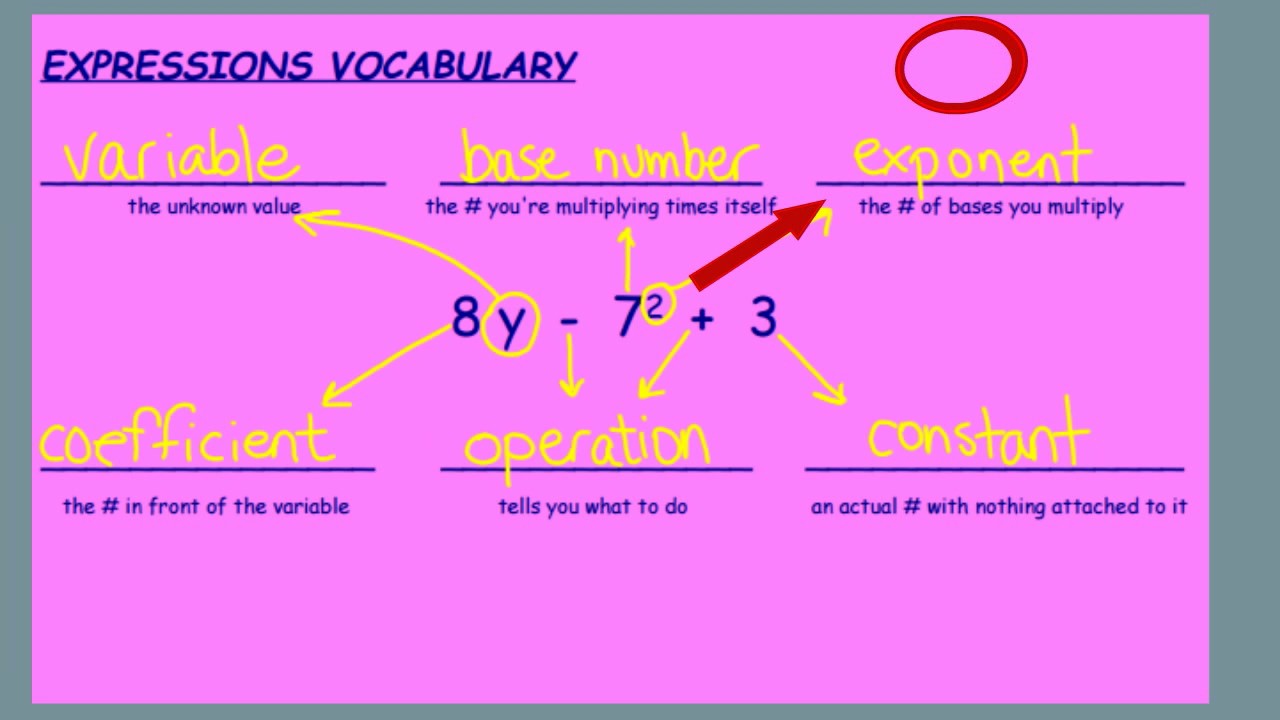 Algebraic Expressions Vocabulary-Math-MS-6 - YouTube