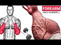 No More Weak Wrists: Dumbbell Forearm Workout Secrets