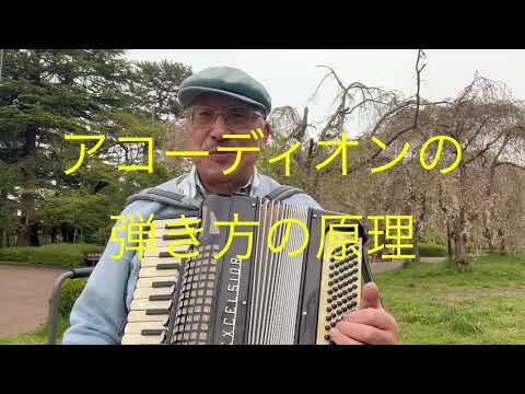 仙台ミュージカルアカデミー　地主幹夫　アコーディオン￼の弾き方の原理