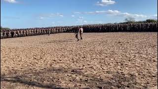 Fadm, Momentos Felizes Das Fds1