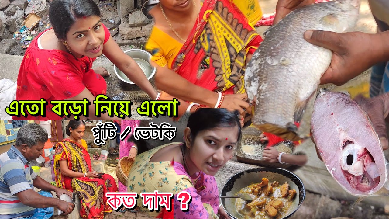এতো বড়ো মাছ কোথায় ছিল , কে নিয়ে এল , কত দাম , কি মাছ?  দুই বৌমা মিলে সব ফুটিয়ে দিল 😭